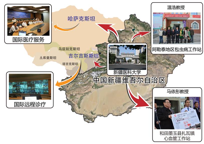 图3 特色实践教学模式5